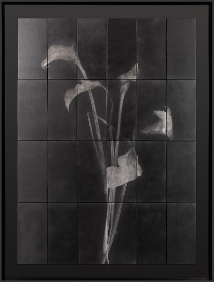 MORNÉ VISAGIE, WHITE FLOWERS, DEATH AND FLOWERING OF PLEASURE
2023, OIL AND INK ON ALUMINIUM