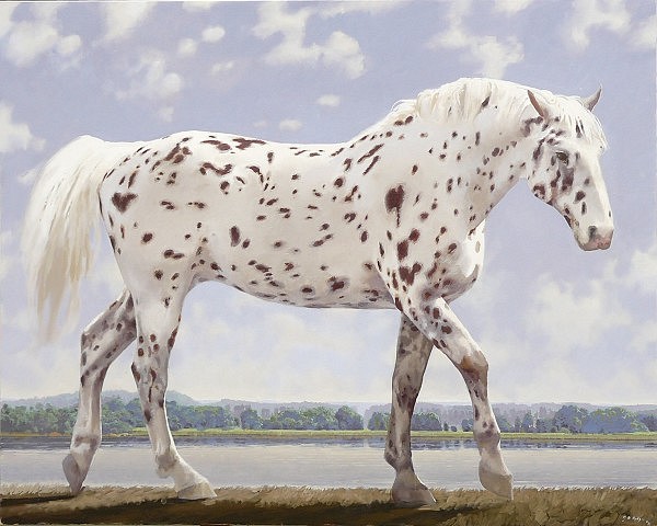 NEIL RODGER, Knabstrup Filly
Oil on Canvas