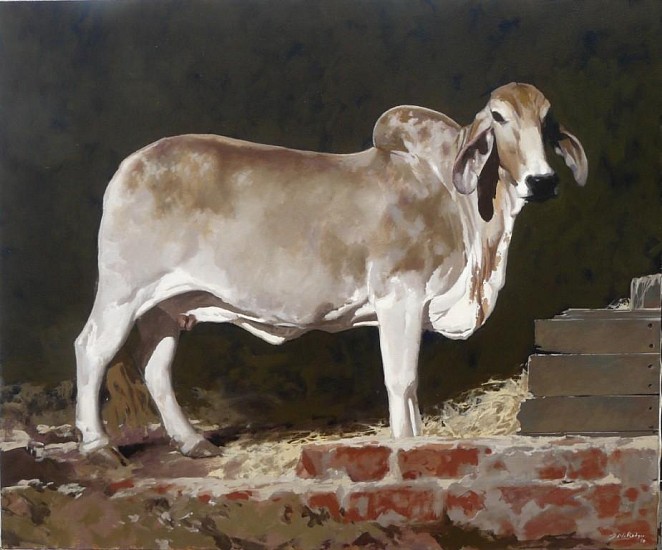 NEIL RODGER, Young Brahman Cow in a Stable
2010, Oil on Canvas