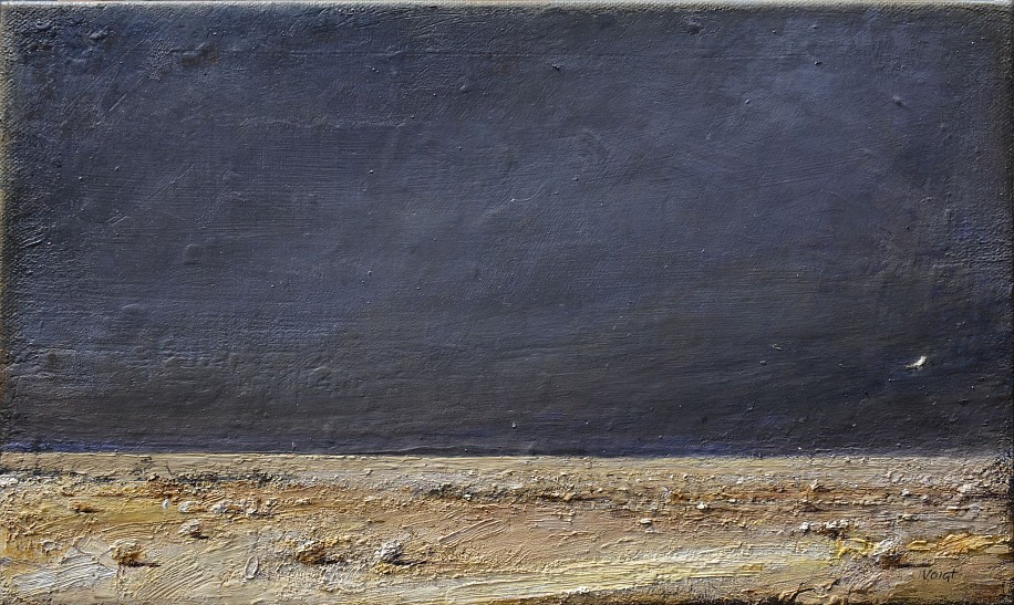 HAROLD VOIGT, KALAHARI SERIES #11
2015