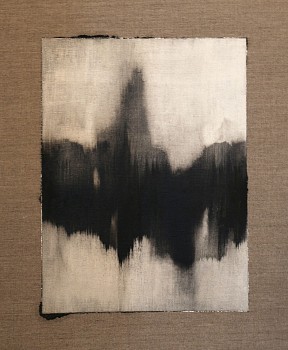 wac17589 negative study iii