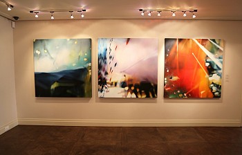 Syndi Installation 03