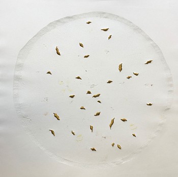 stitched pupa