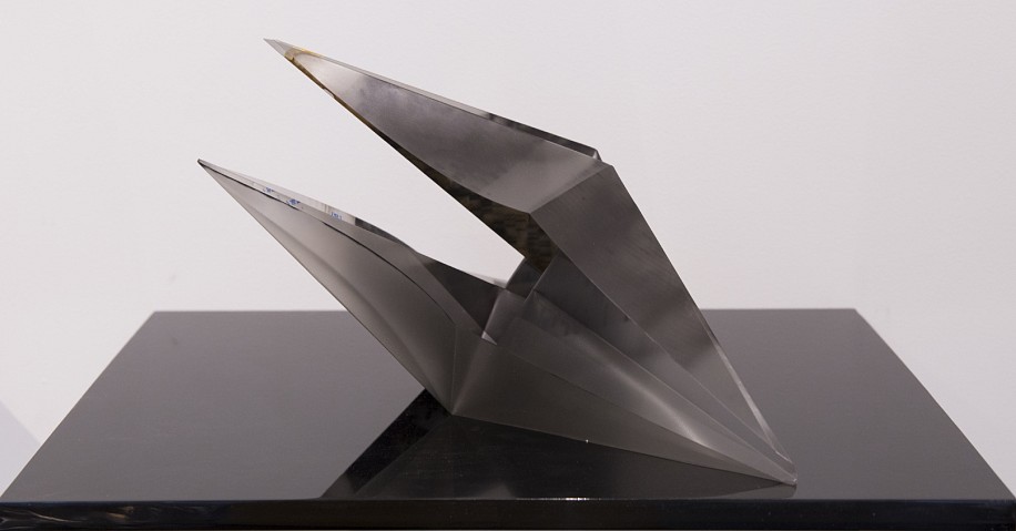 BRONWYN LACE, To Unfold V
2016, DNA Autoradiograph and Wax Paint on Acrylic Shelf