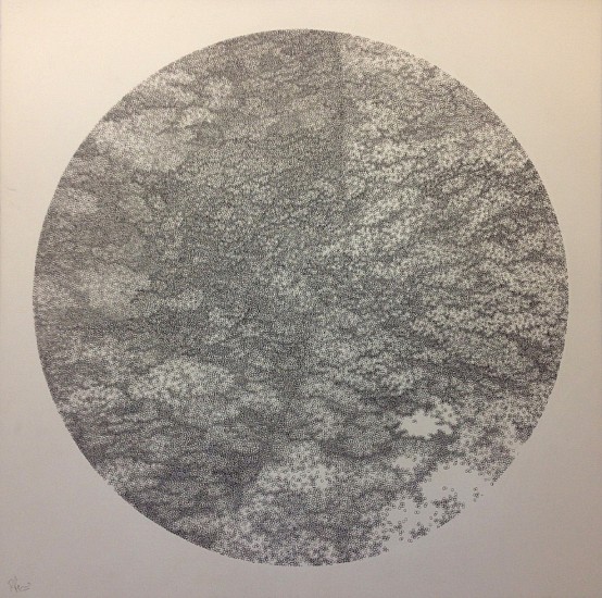 RICHARD PENN, FOAM 3
2016, INK DRAWING ON PAPER