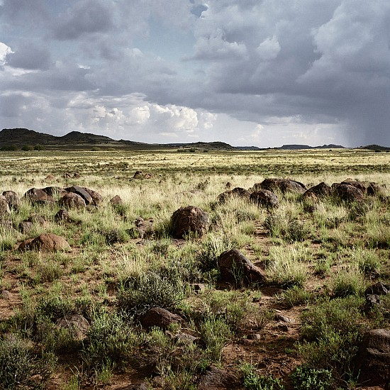 DANIEL NAUDÉ, (ANIMAL FARM 2007-2012) FARM BETWEEN ABERDEEN AND WILLOWMORE. EASTERN CAPE, 7 MARCH 2010
C-PRINT, LIGHTJET ON FUJIFILM PROFESSIONAL PAPER DIBONDED ON ALUMINIUM