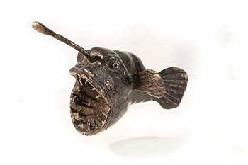 angler fish