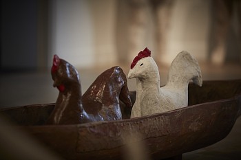 WilmaCruise EverardRead CapeTown