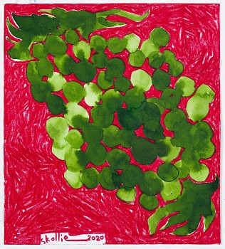 lady skollie. papsack propoganda i