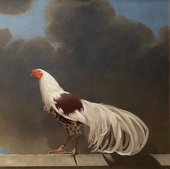 NEIL RODGER, COCKEREL 2
Oil on Canvas