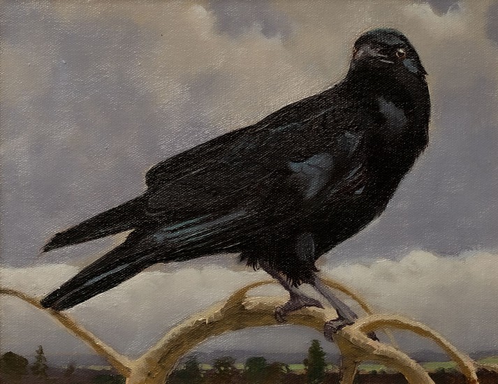 NEIL RODGER, CROW
Oil on Canvas