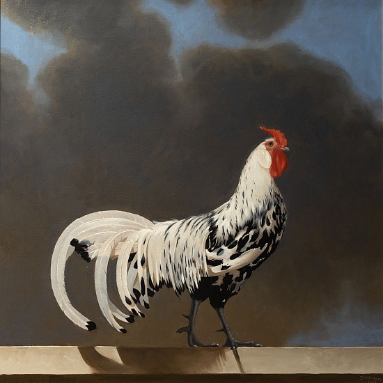 NEIL RODGER, COCKEREL
Oil on Canvas