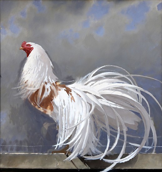 NEIL RODGER, UNFINISHED ROOSTER
Oil on Canvas