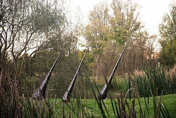 a local geological chronicle