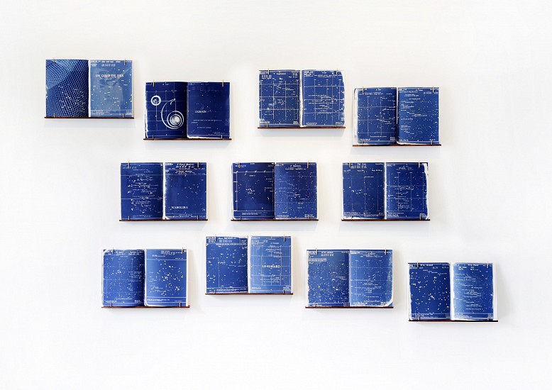 DIANA VIVES, ETERNAL CIRCUMSTANCES
2022, CYANOTYPES ON ARCHES PAPER, WOOD, BRASS & BOOKBINDERâ€™S MULL