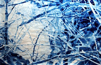 Moth Sees in the Moonlight #2 230 x 150cm