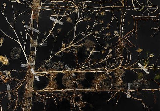 Feral Garden Carpet, Plant material and acrylic ground on board, 123,5 x 163,5cm (4 x 60 x 80), photo GJ.vanRooij detail 4