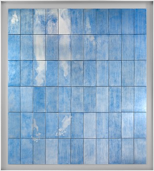 LikeABlueFrostItCaughtThem MorneVisagie 1 LR