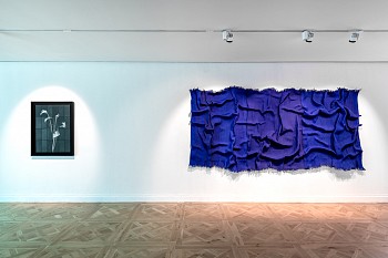 MV SINLESSSEASON PARISB 5 LR