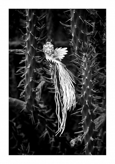 BARBARA WILDENBOER, THE CONFERENCE OF THE BIRDS IV
2023, PHOTOGRAPHIC PRINT ON FABRIANO