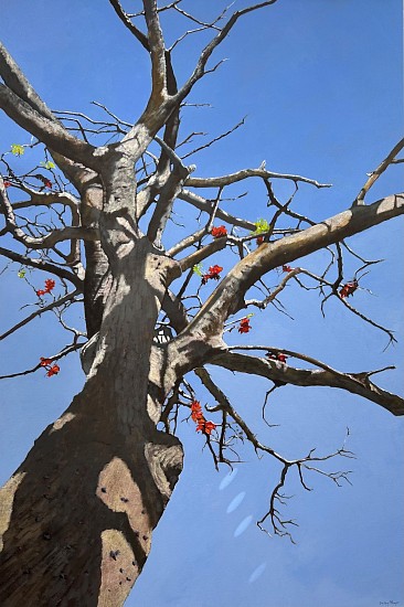 DENBY MEYER, ALMOST SUMMER
2025, Acrylic on Canvas
