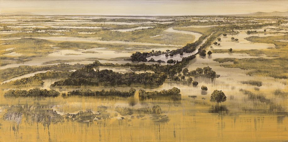 HANIEN CONRADIE, MALAWI 1
2023, BURNT PLANT MATERIAL ON CANVAS