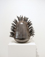 wac29079