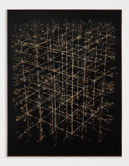 GERHARD MARX, TERRARIA
2025, PLANT MATERIAL AND PU GROUND ON CANVAS WITH BOARD