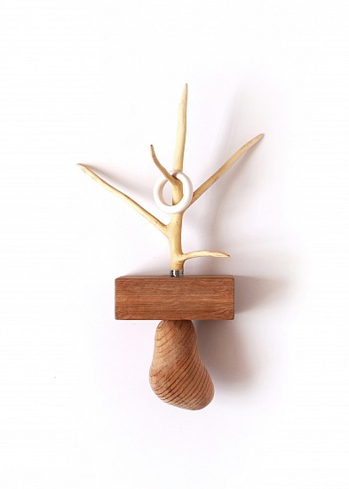 BARBARA WILDENBOER, MNEMONICS FOR TREES I
FIG, CEDAR, OAK, PORCELAIN AND THREAD