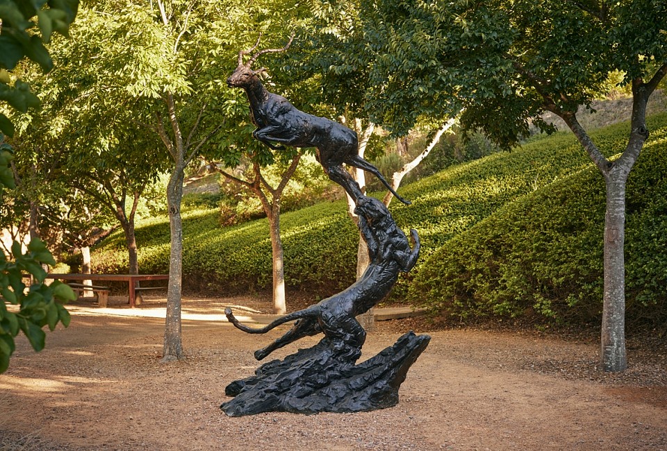 S496 Leopard Chasing Impala LS