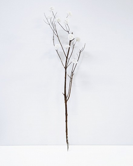 WARREN MAROON, ONDER DRAAI DIE DUIWEL ROND 4
WHITE PAPER ROSES AND OKAPI KNIFE ON FOUND BRANCH
