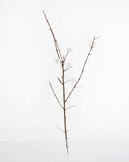 WARREN MAROON, ONDER DRAAI DIE DUIWEL ROND 1
WHITE PAPER ROSES AND OKAPI KNIFE ON FOUND BRANCH