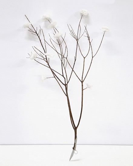 WARREN MAROON, ONDER DRAAI DIE DUIWEL ROND 7
2025, WHITE PAPER ROSES AND OKAPI KNIFE ON FOUND BRANCH