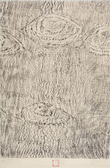 FAITH XLVII, RUDRAKSHA TREE I, KAPA ' A KAUIA - COLLABORATIVE WORK WITH ERIC YANASAK
2023, GRAPHITE ON SHIRAKABA PAPER
