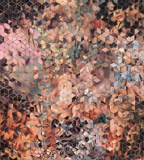 FAITH XLVII, THE ART OF LOVING WOMAN DECONSTRUCTED II
2018, Collage on Wood