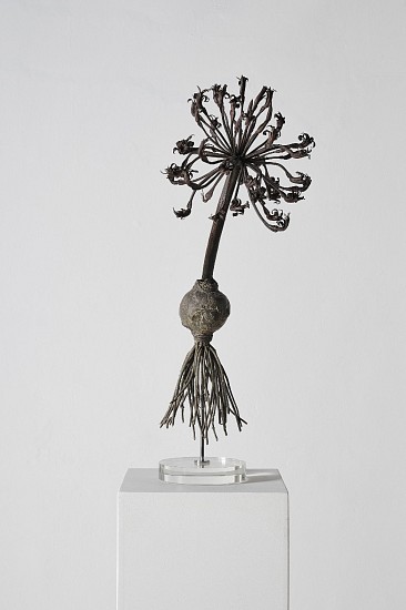 NIC BLADEN, BRUNSVIGIA ORIENTALIS
2025, UNIQUE BRONZE