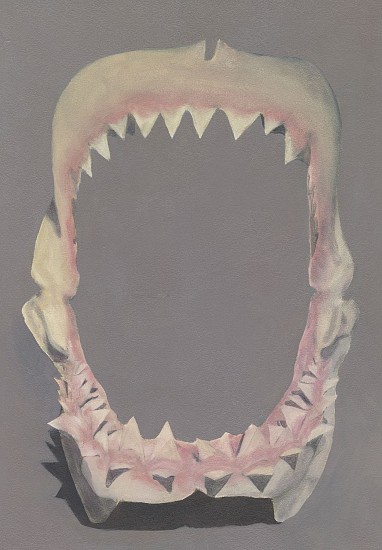 SHAYNA ARVAN, FAKE SHARK JAWS AT IZIKO MUSEUM
2026, Oil on Board