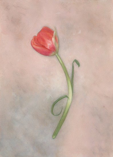 SHAYNA ARVAN, TULIP FROM EMMA FROM AMBER
2026, Oil on Board